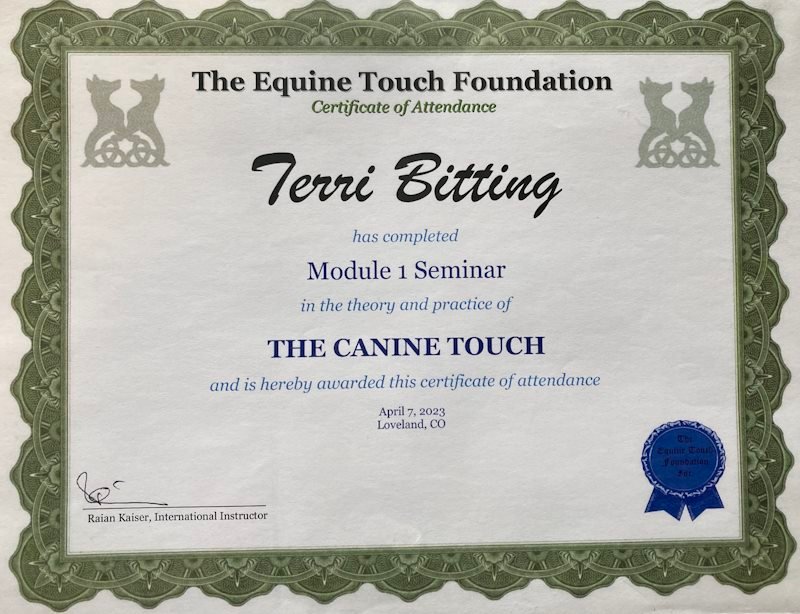 Certificate to Terri Bitting for Module 1 Seminar for The Canine Touch